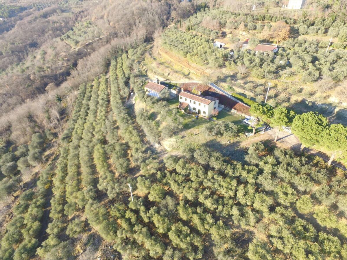 Holiday House Petrarca Arqua Petrarca Dış mekan fotoğraf